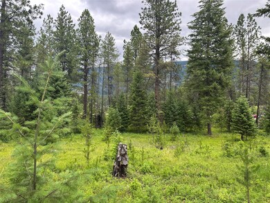 Nhn Sapphire Ln W unit Lot 10, Trout Creek, MT 59874 - photo 6