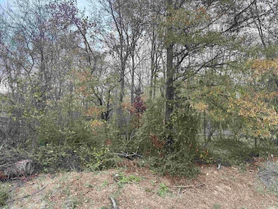 0 Main St, Alicia, AR 72410 - photo 2