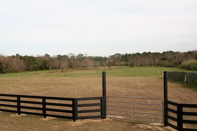 1835 Live Oak Dr, Jacksonville, FL 32246 - photo 6