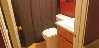 109 East St, Potosi, WI 53820 - photo 5