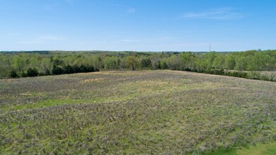 24512 Highway 58, Baskerville, VA 23915 - photo 3