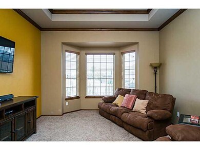 Living Room. Let some light in!