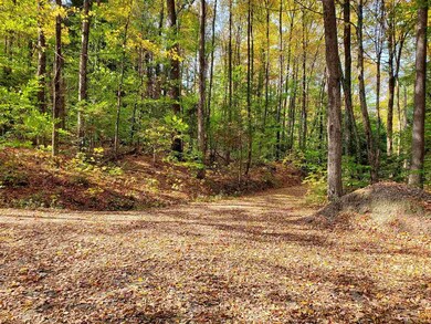 0 Miller Ln, Williamsville, VT 05362 - photo 4