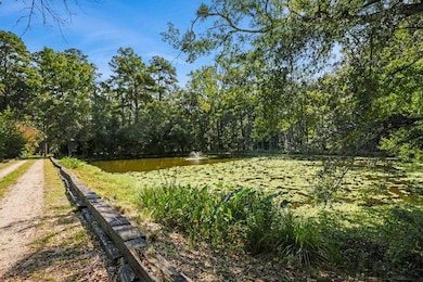 Private driveway w/ stocked pond on either side