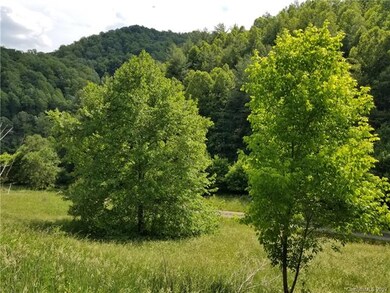 182 Willow Creek Rd, Burnsville, NC 28714 - photo 5