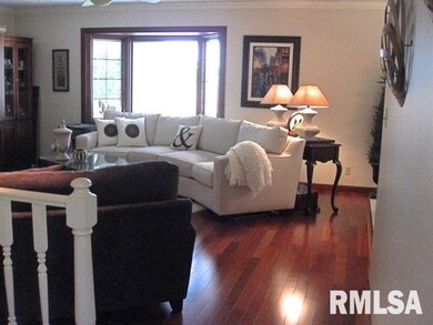 5511 N Ramblewood Ct, Peoria, IL 61615 - photo 4