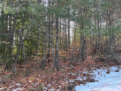 0 Knightland Rd, Bennington, NH 03442 - photo 7