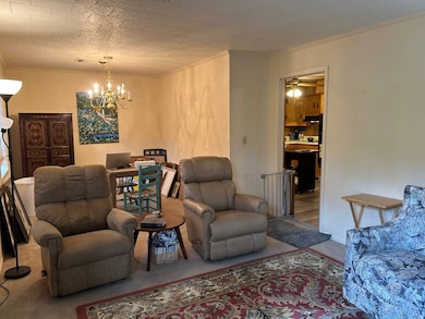 12288 Brooklyn Rd, Andalusia, AL 36421 - photo 7