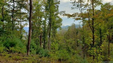 000 Briar Ridge Rd, Ramseytown, NC 28714 - photo 3