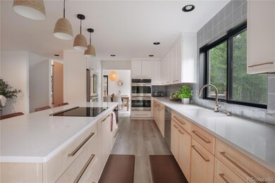 1709 Red Hawk Rd, Silverthorne, CO 80498 - photo 6