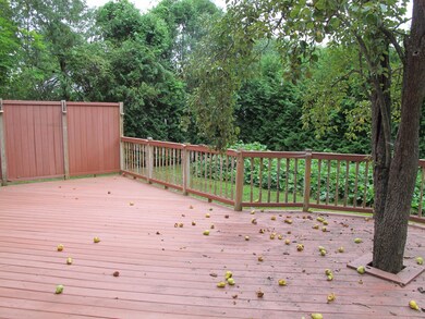 Back Deck