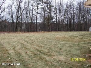 rear yard