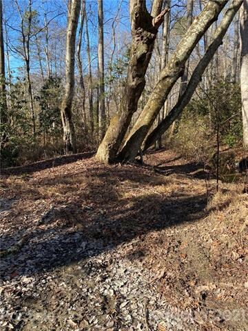 00 Howard Gap Rd, Hendersonville, NC 28792 - photo 7