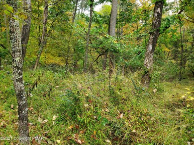 405 Stroudsmoor Rd, Stroudsburg, PA 18360 - photo 6