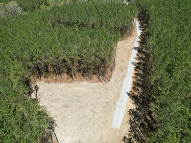 32 Ac Thomas Springs Rd, Crossville, TN 38572 - photo 5