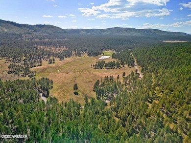 1A Forest Road 26 --, Alpine, AZ 85920 - photo 3