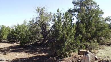 837 E Jackpine Ln unit 47, Williams, AZ 86046 - photo 3
