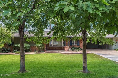 Lush and Mature Landscaping