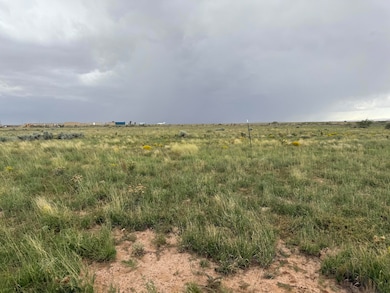 Lot 389 Rancho Rio Grande, Belen, NM 87002 - photo 6