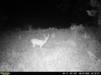 7507 E West 137 Rd, Holdenville, OK 74848 - photo 5