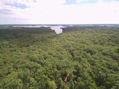 00 Nathania Farm Rd, Lincolnton, GA 30817 - photo 2