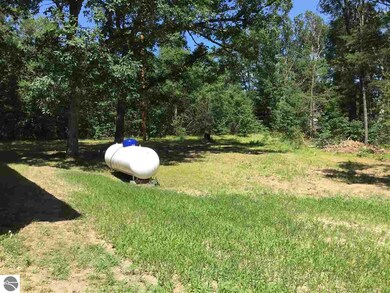 2648 W Crescent St, Baldwin, MI 49304 - photo 2