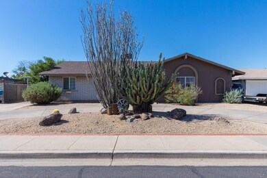 Cholla (2)