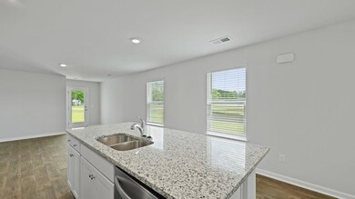 123 Hopkins St, Holly Hill, SC 29059 - photo 6