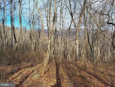 0 Old Ski Lodge Ln unit VARP107716, Washington, VA 22747 - photo 5