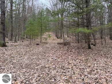 VL W Gaukel Rd, Forest Township, MI 49651 - photo 6