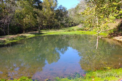 IMG_1994