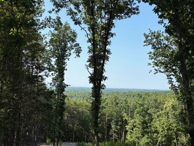 102 Long View Ct, Pickens, SC 29671 - photo 7