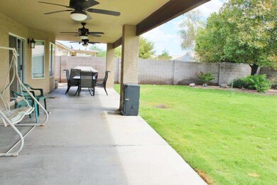 Large Back Patio