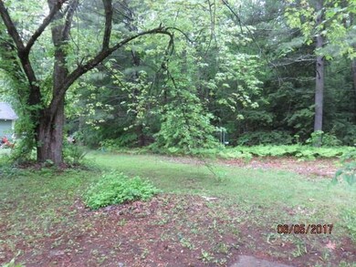 Back yard