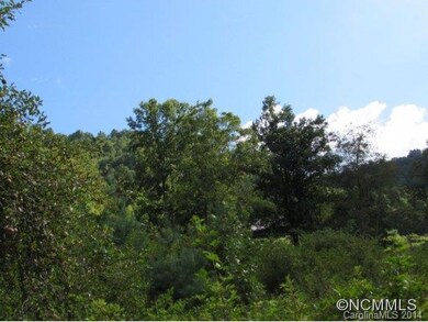 217 Evergreen Rd, Burnsville, NC 28714 - photo 3