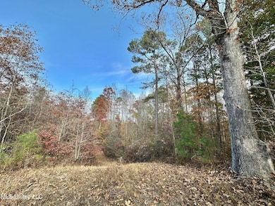 3 County Road 3122, McCool, MS 39108 - photo 5