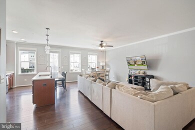 24678 Cable Mill Terrace, Aldie, VA 20105 - photo 3