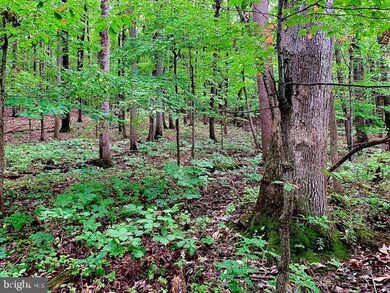 21129 Hickory Forest Way, Germantown, MD 20876 - photo 7