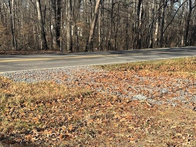 Lakeview 1 Highway 304, Ten Mile, TN 37880 - photo 4