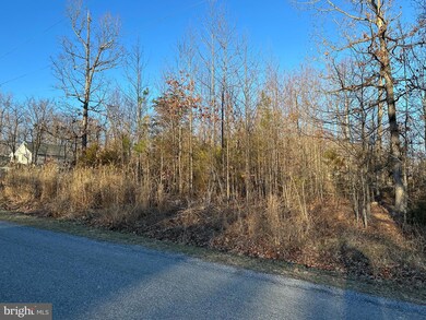 0 Woodland Dr unit VAPA2003168, Luray, VA 22835 - photo 6