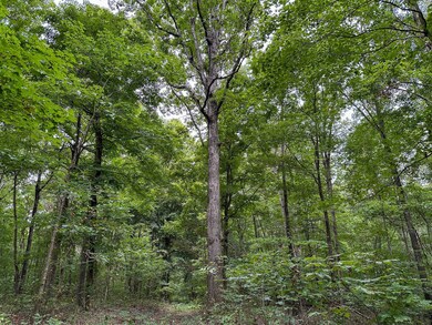 0 Halls Creek Rd, Olaton, KY 42361 - photo 7