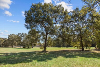 TBD County Road 410, Dayton, TX 77535 - photo 3