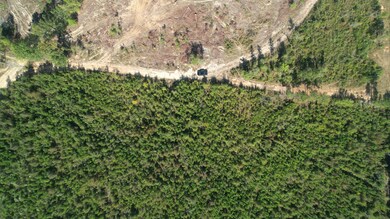 00 Moores Dr, Edgefield, SC 29824 - photo 4