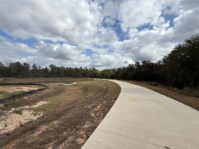 23705 Birch Grove Rd, Montgomery, TX 77316 - photo 5