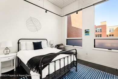 361 Robinson St unit 210, Basalt, CO 81621 - photo 7