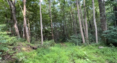 TBD-1 Peter Mabe Rd, Danbury, NC 27016 - photo 2