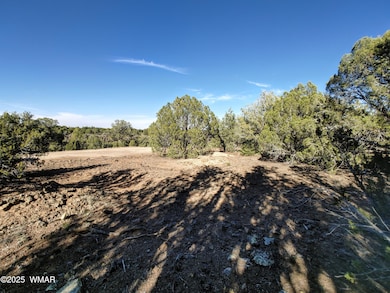 1841 Rocky Bottom Place, Show Low, AZ 85901 - photo 3