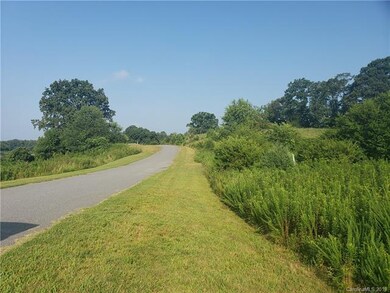000 Vance Farm Dr unit 13, Statesville, NC 28625 - photo 3