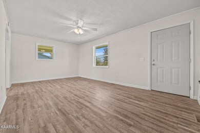 197 Myrtle Ave, Crossville, TN 38555 - photo 2