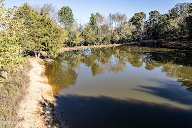 1000 Hazy Downs Rd, Raywick, KY 40060 - photo 5